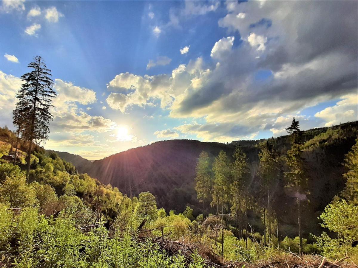 Harz Hotel Iris Sieber Dış mekan fotoğraf