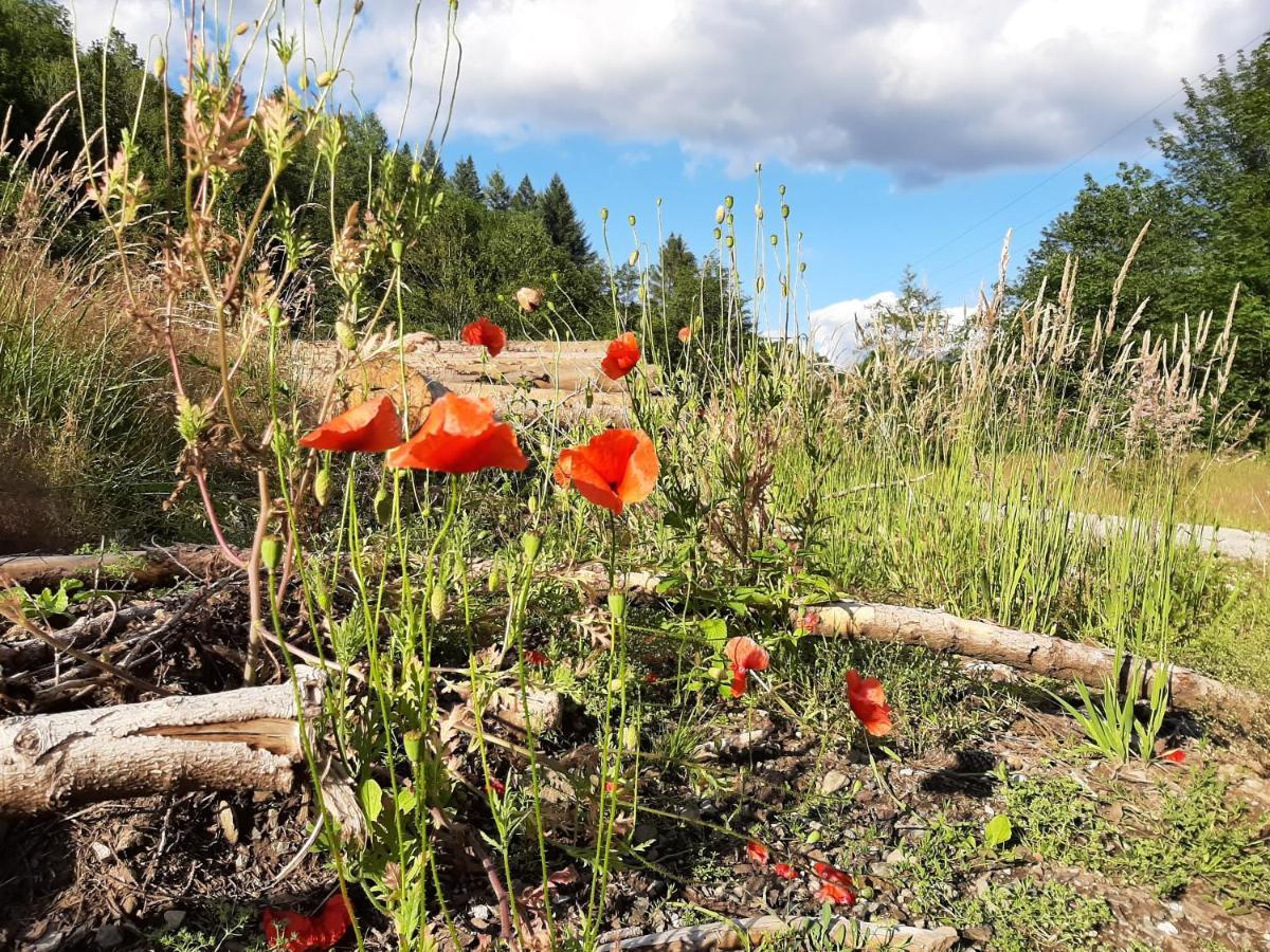 Harz Hotel Iris Sieber Dış mekan fotoğraf