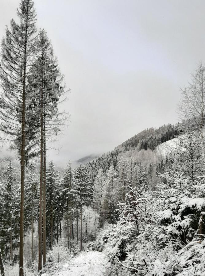 Harz Hotel Iris Sieber Dış mekan fotoğraf