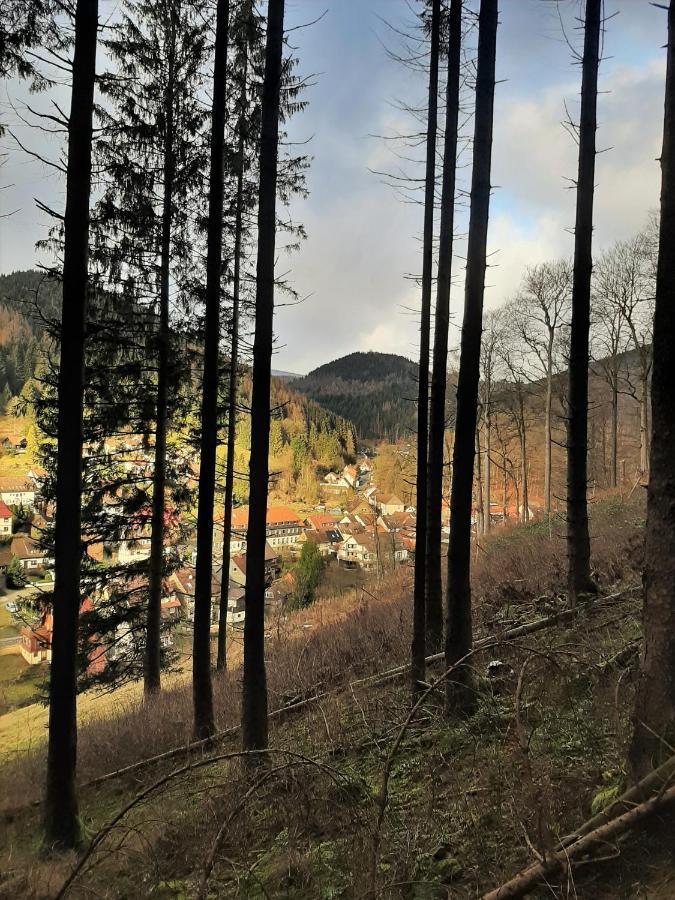 Harz Hotel Iris Sieber Dış mekan fotoğraf