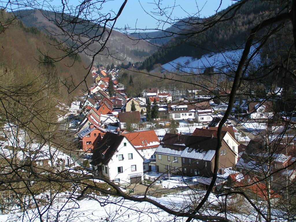 Harz Hotel Iris Sieber Dış mekan fotoğraf