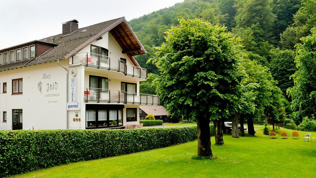 Harz Hotel Iris Sieber Dış mekan fotoğraf