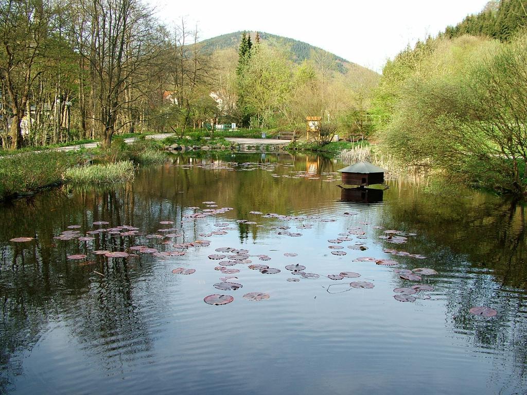 Harz Hotel Iris Sieber Dış mekan fotoğraf