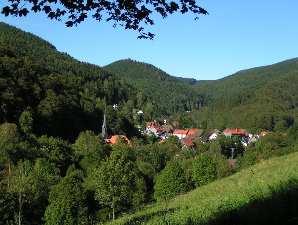 Harz Hotel Iris Sieber Dış mekan fotoğraf