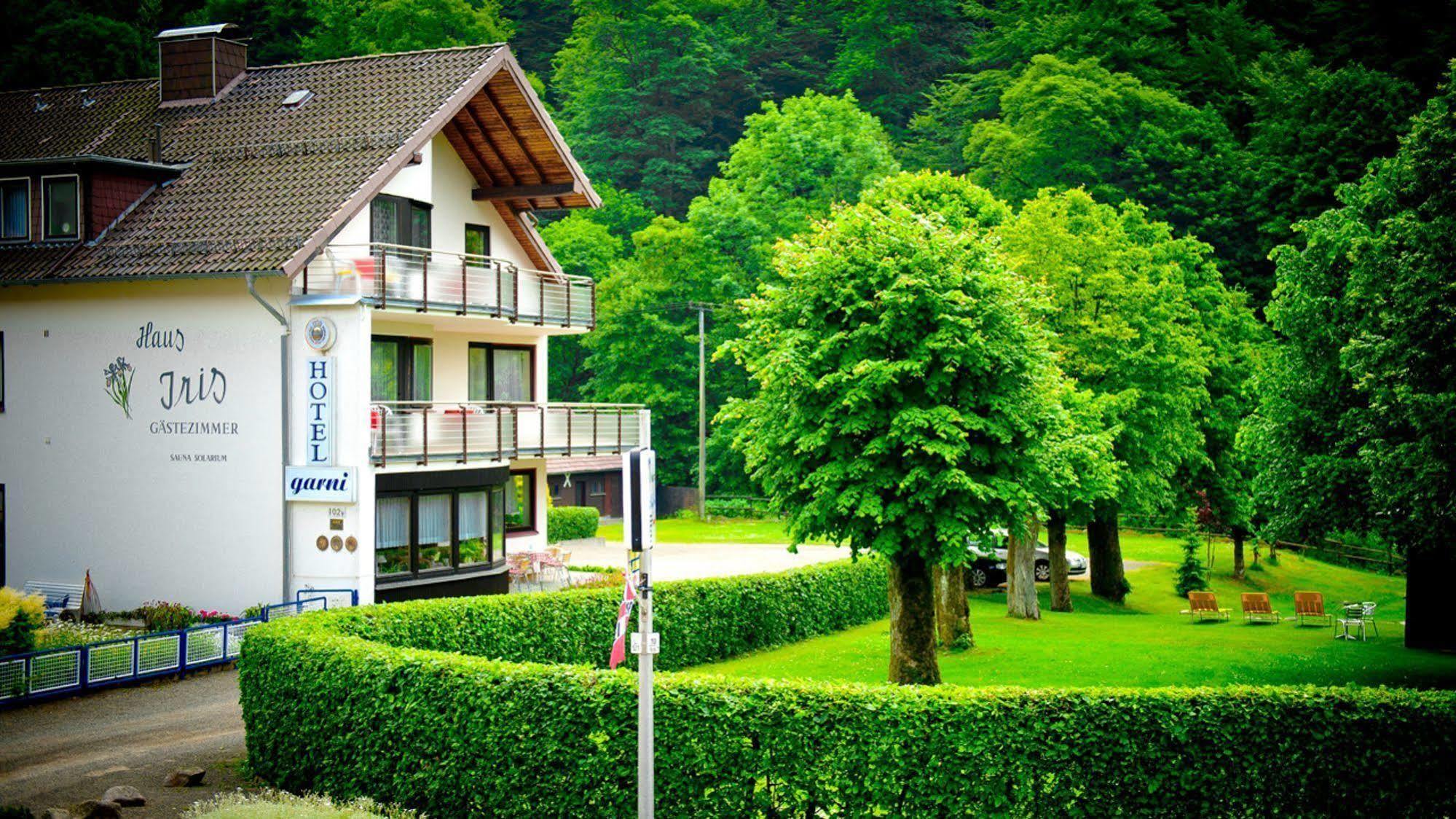 Harz Hotel Iris Sieber Dış mekan fotoğraf